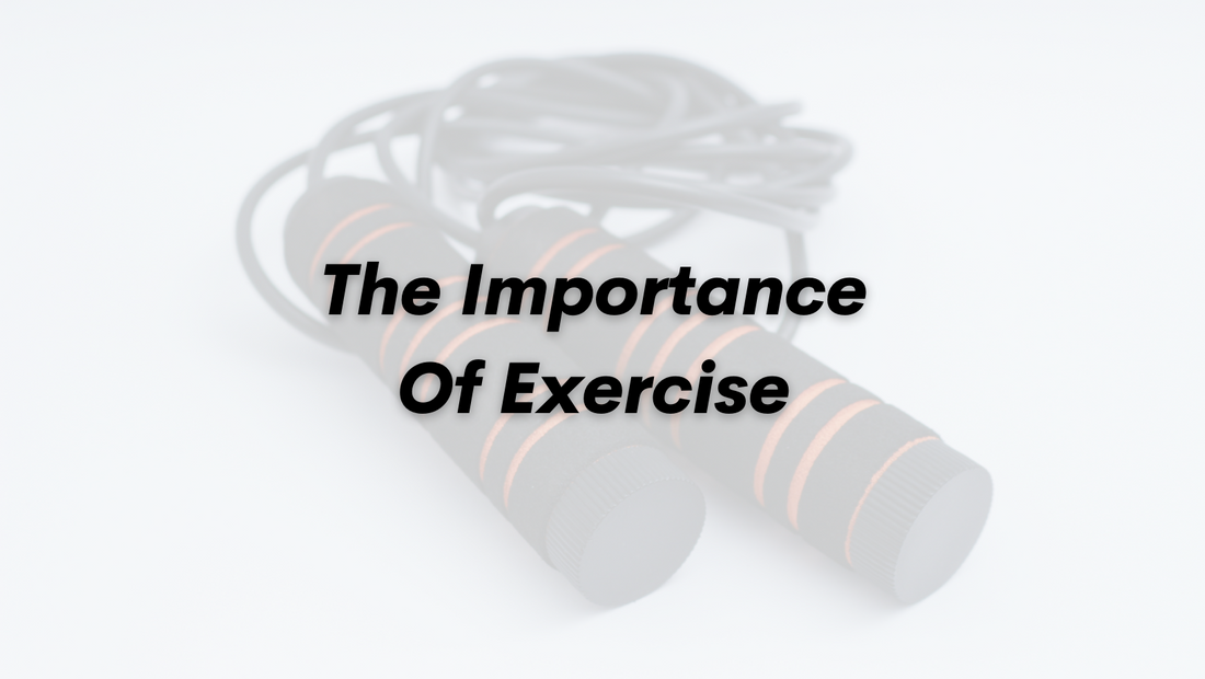 The Importance Of Exercise